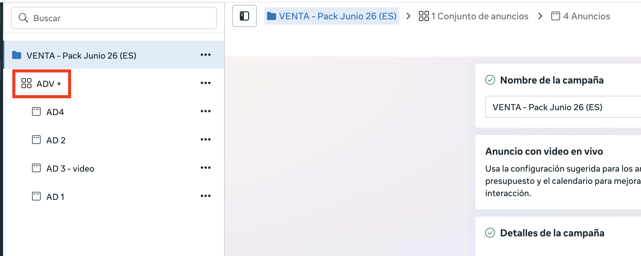 Campaña de Meta Ads con un único conjunto de anuncios y varios anuncios".